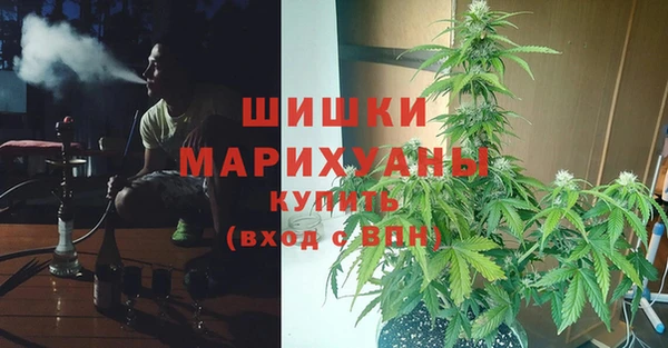 гидропоника Алзамай