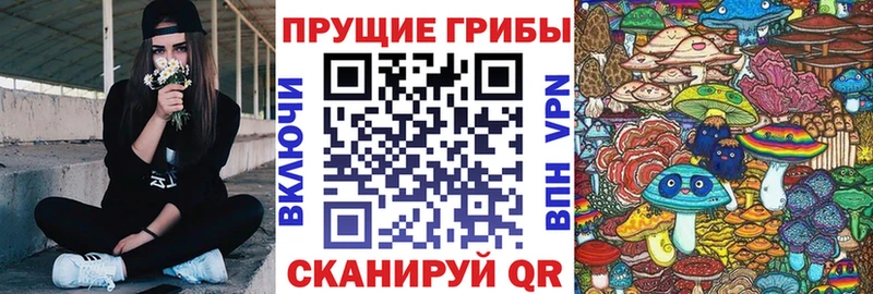Псилоцибиновые грибы мухоморы  Яблоновский 